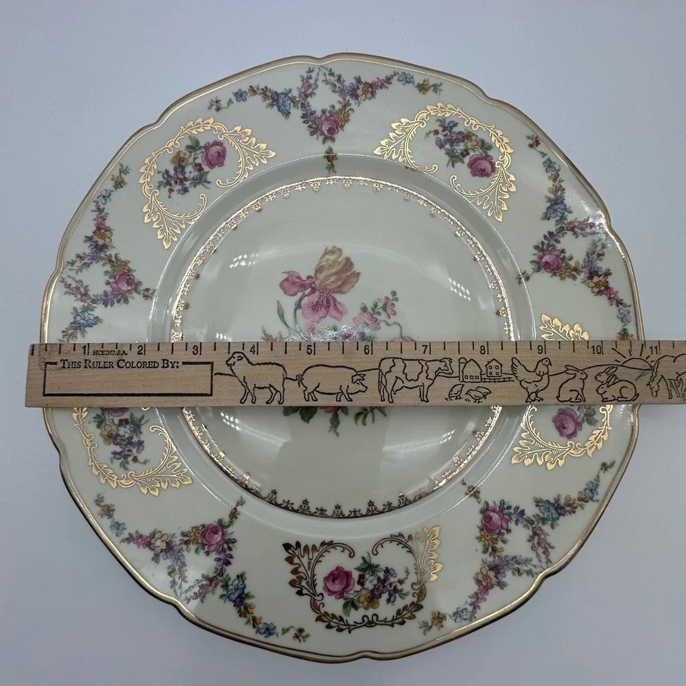 Baronet China Caprice Dinner Plate 10.75